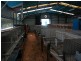 842 New Buildings Road, Wyndham NSW 2550