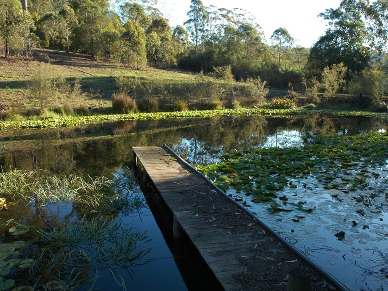 3 Eurack Circuit, Kiah NSW 2551