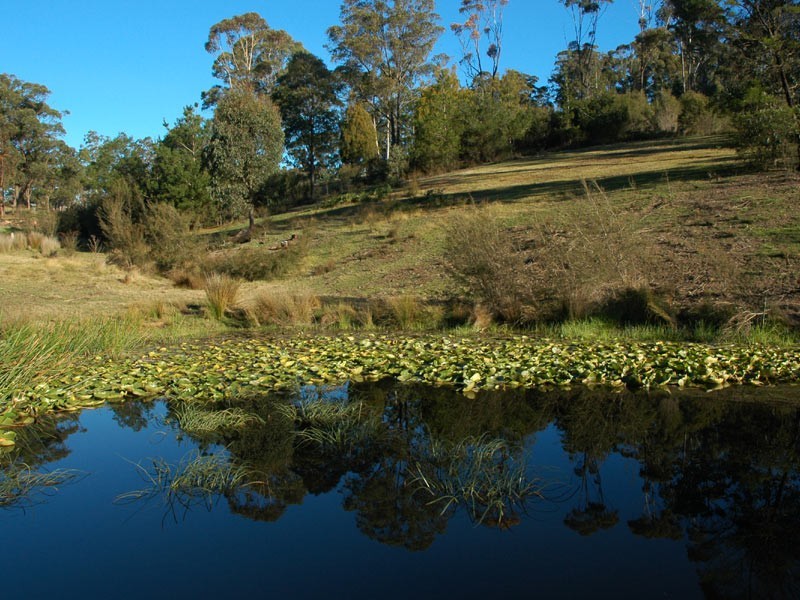 3 Eurack Circuit, Kiah NSW 2551