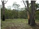 241 Florabunda Lane, Nethercote NSW 2549