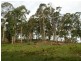 241 Florabunda Lane, Nethercote NSW 2549