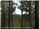242 Florabunda Lane, Nethercote NSW 2549