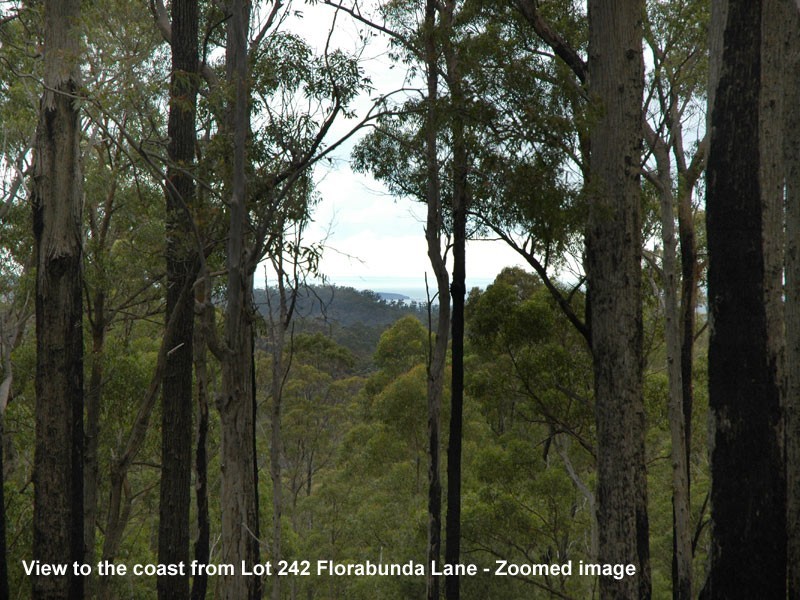 242 Florabunda Lane, Nethercote NSW 2549