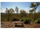 Tamborine QLD 4270