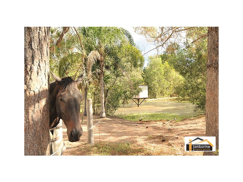 Tamborine QLD 4270
