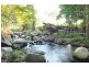 Tamborine QLD 4270