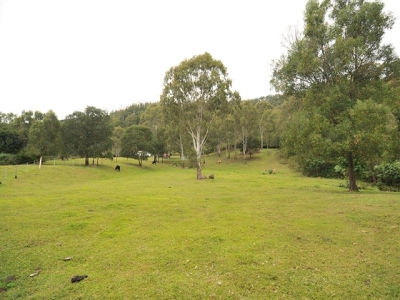 Cedar Creek QLD 4207
