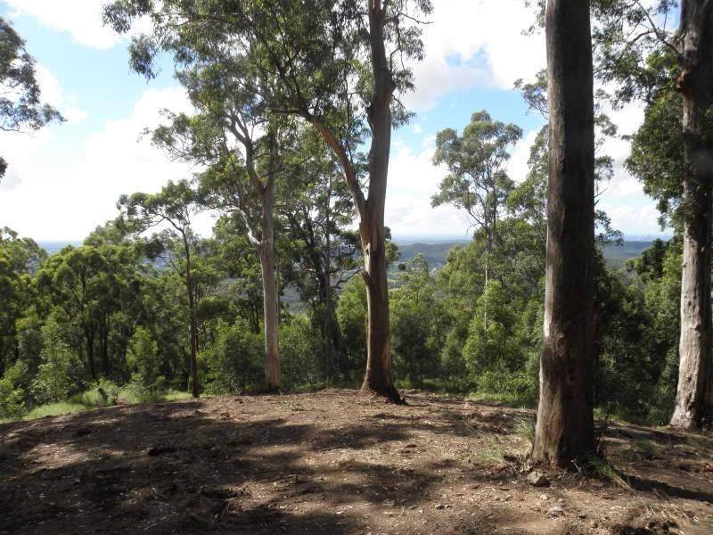 Clagiraba QLD 4211