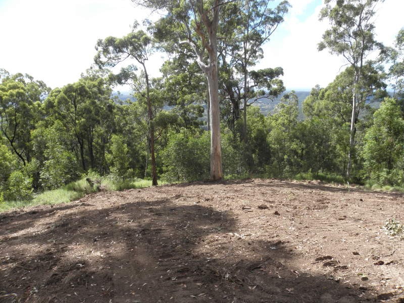 Clagiraba QLD 4211