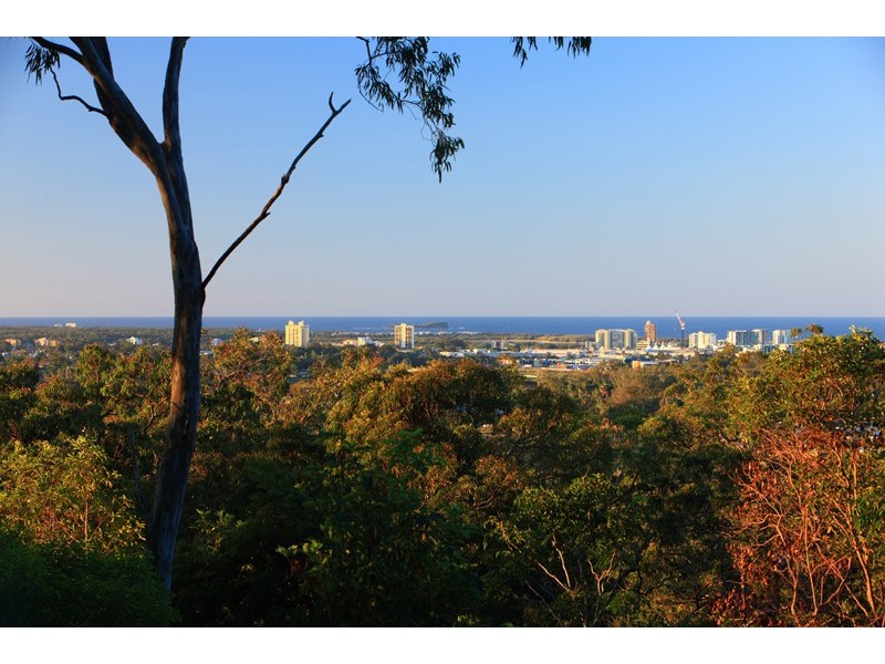 25 Pertaka Street, Buderim QLD 4556