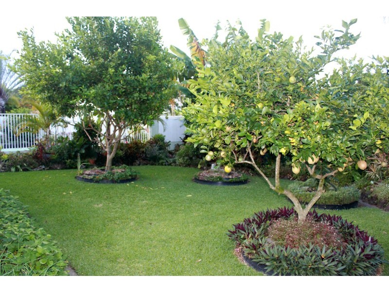 1 Araluen Close, Mountain Creek QLD 4557
