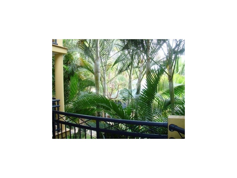 Mermaid Beach QLD 4218