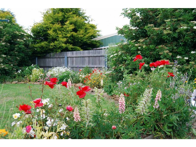 74 Stanley Street, Oatlands TAS 7120