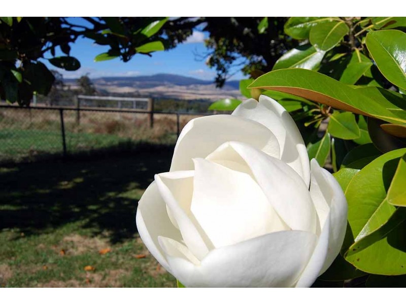 233 Uxbridge Road, Bushy Park TAS 7140