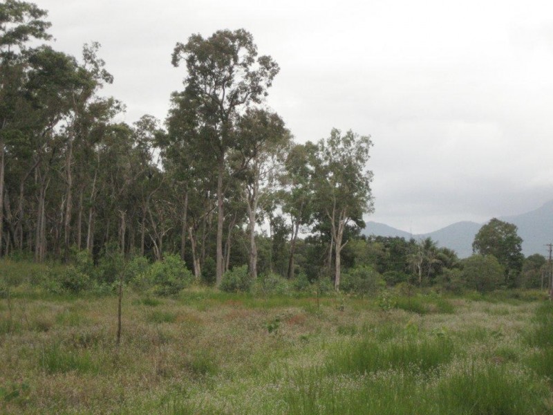Lot 7 Hubinger Road, Cardwell QLD 4849