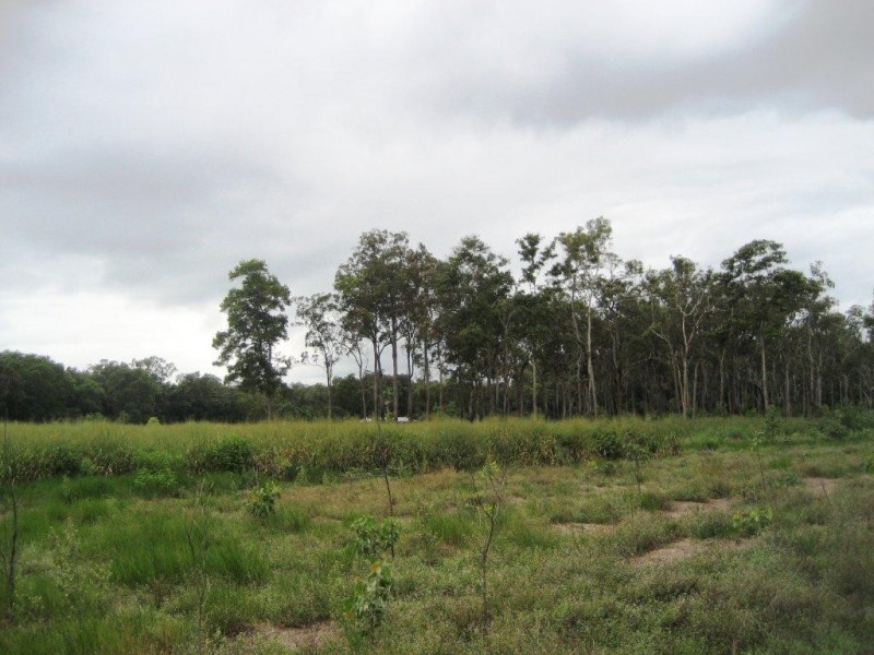Lot 7 Hubinger Road, Cardwell QLD 4849