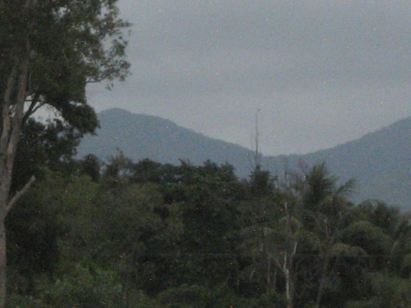 Lot 7 Hubinger Road, Cardwell QLD 4849