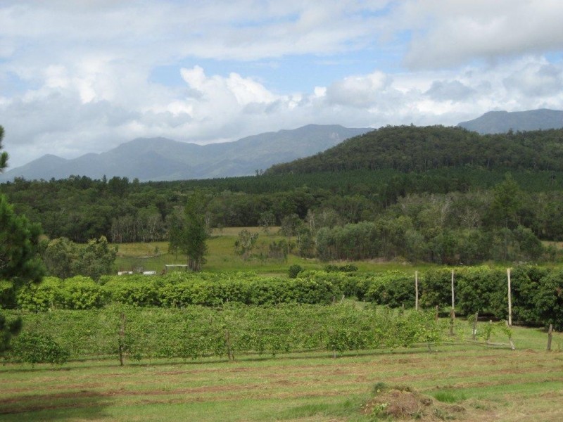 Lot 1 & 6 Bruce Highway, Cardwell QLD 4849