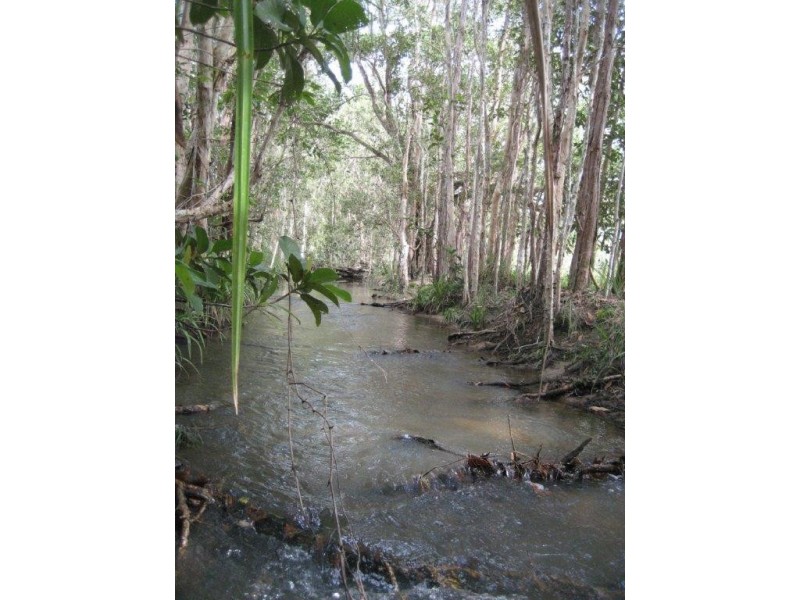 Lot 1 & 6 Bruce Highway, Cardwell QLD 4849