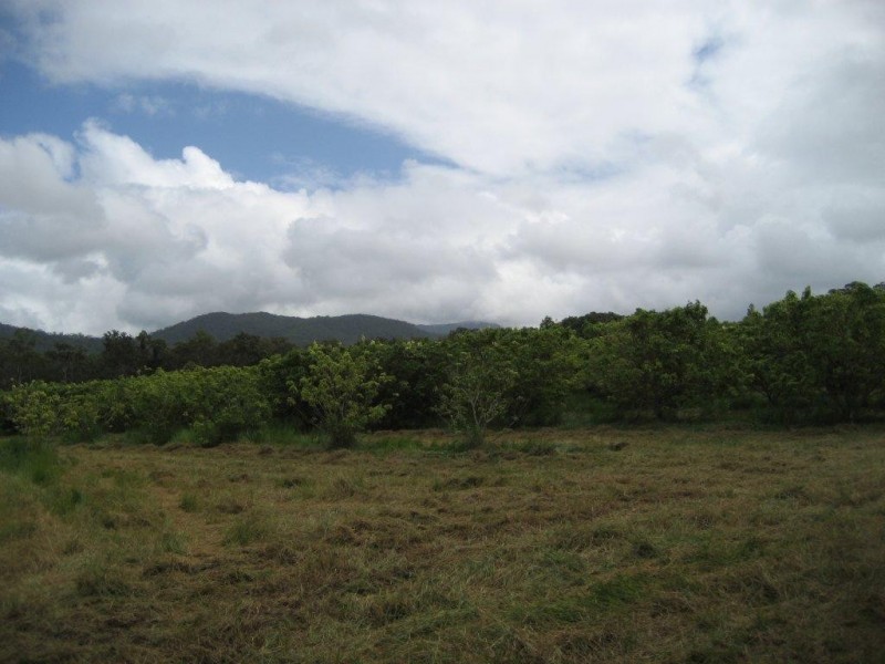 Lot 1 & 6 Bruce Highway, Cardwell QLD 4849