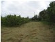 Lot 1 & 6 Bruce Highway, Cardwell QLD 4849