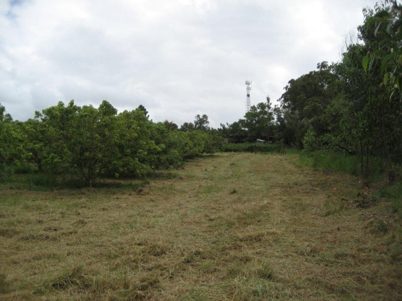 Lot 1 & 6 Bruce Highway, Cardwell QLD 4849
