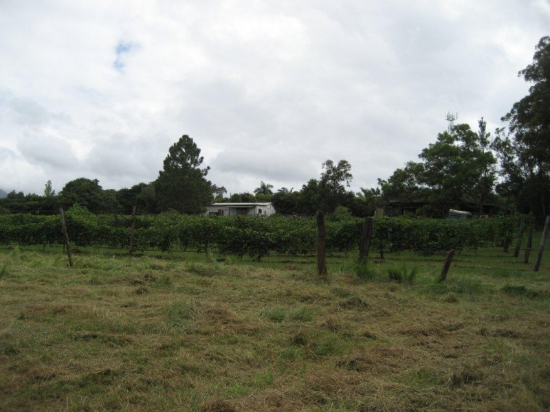 Lot 1 & 6 Bruce Highway, Cardwell QLD 4849