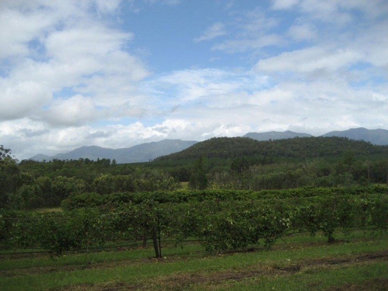 Lot 1 & 6 Bruce Highway, Cardwell QLD 4849