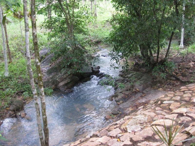 163 Stony Creek Road, Cardwell QLD 4849