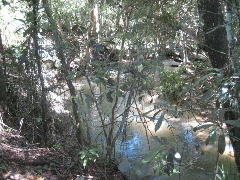 Lot 17 Bauhinia Drive, Cardwell QLD 4849