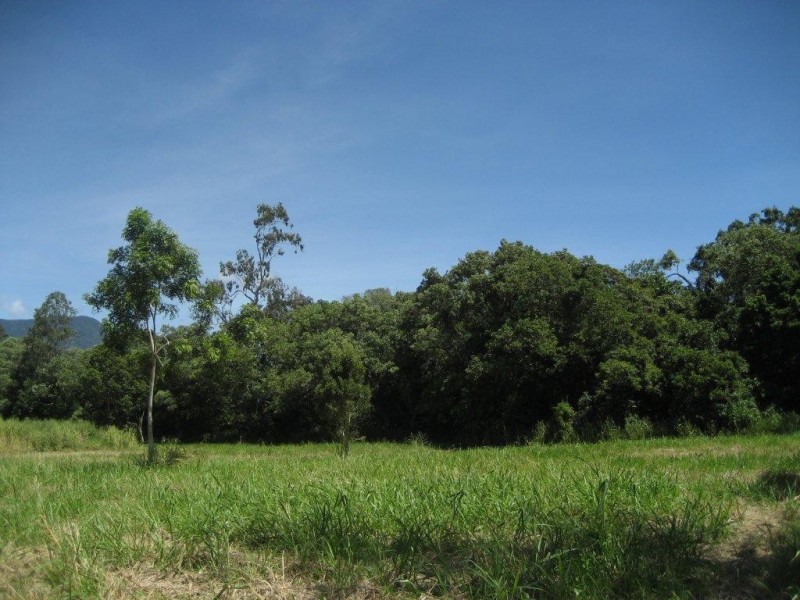 Lot 17 Bauhinia Drive, Cardwell QLD 4849
