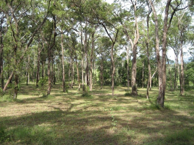 Lot 5 Ellerbeck Road, Cardwell QLD 4849