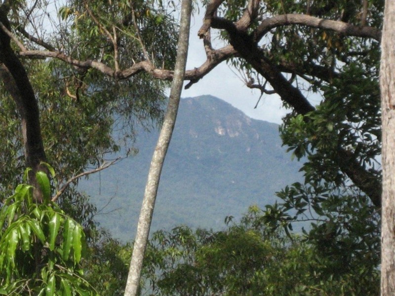 Lot 5 Ellerbeck Road, Cardwell QLD 4849