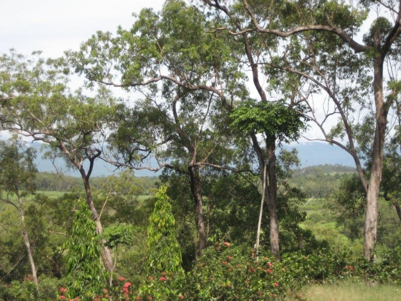 Lot 5 Ellerbeck Road, Cardwell QLD 4849
