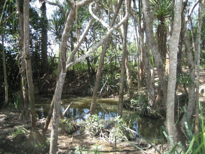 Lot 1 Hamilton Road, Cardwell QLD 4849