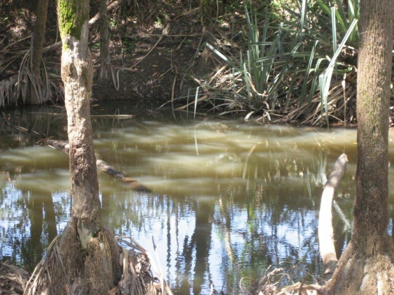 Lot 1 Hamilton Road, Cardwell QLD 4849