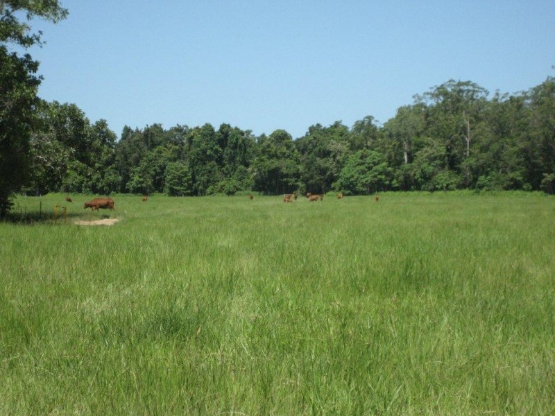 Lot 1 Hamilton Road, Cardwell QLD 4849