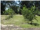 Lot 4 Hubinger Road, Cardwell QLD 4849