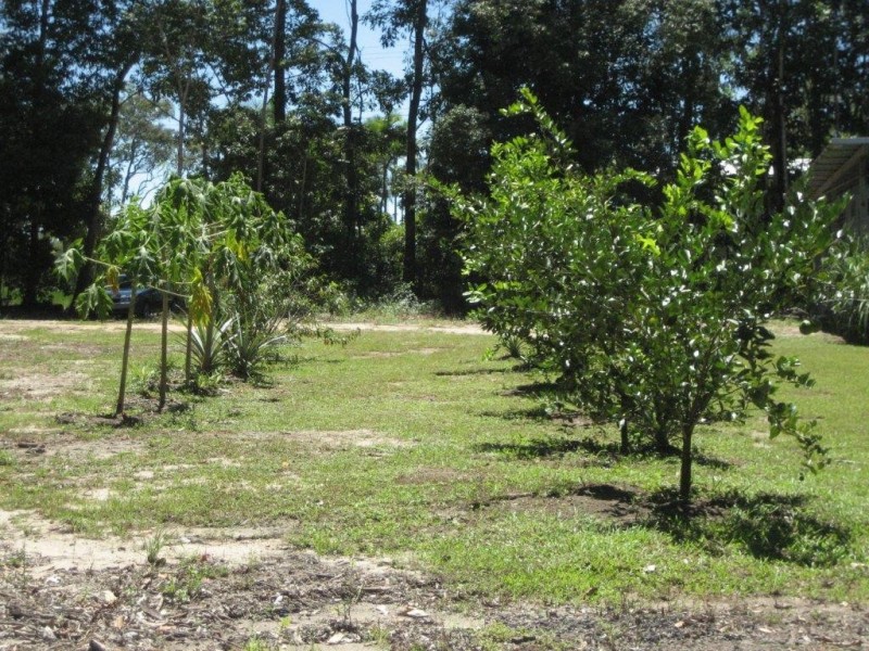 Lot 4 Hubinger Road, Cardwell QLD 4849