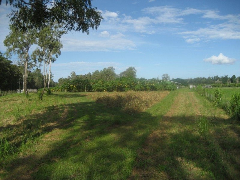 99 Lily Creek Raod, Cardwell QLD 4849