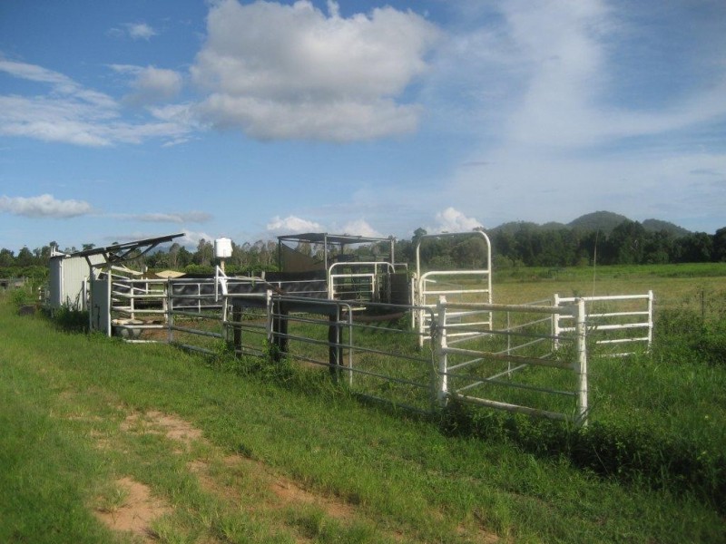 99 Lily Creek Raod, Cardwell QLD 4849