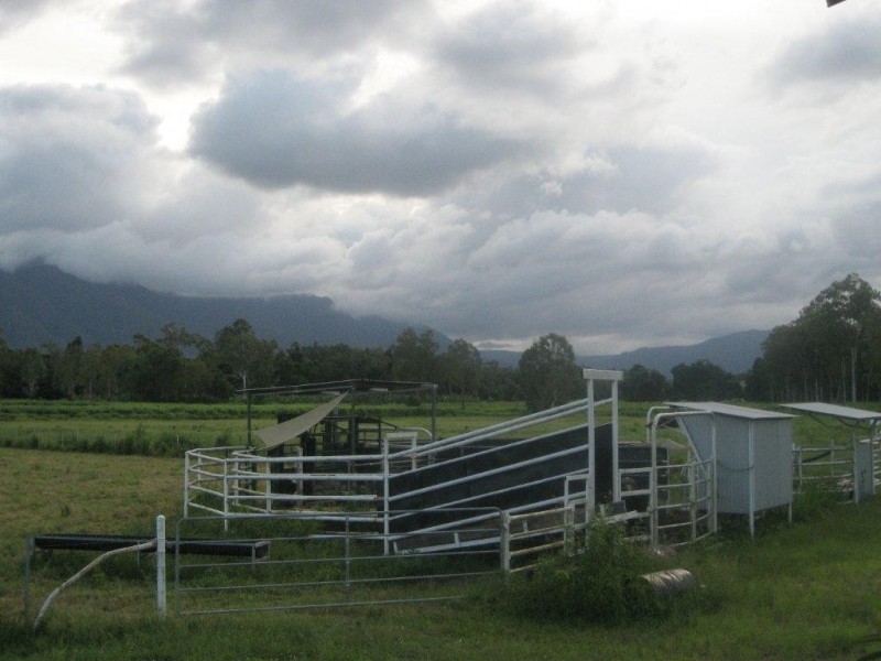 99 Lily Creek Raod, Cardwell QLD 4849