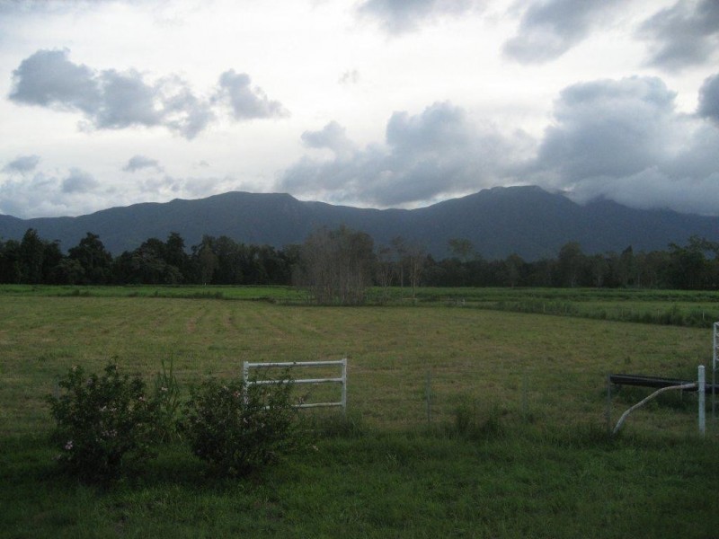 99 Lily Creek Raod, Cardwell QLD 4849