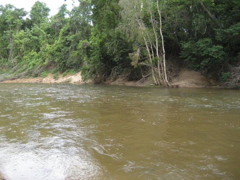 99 Lily Creek Raod, Cardwell QLD 4849