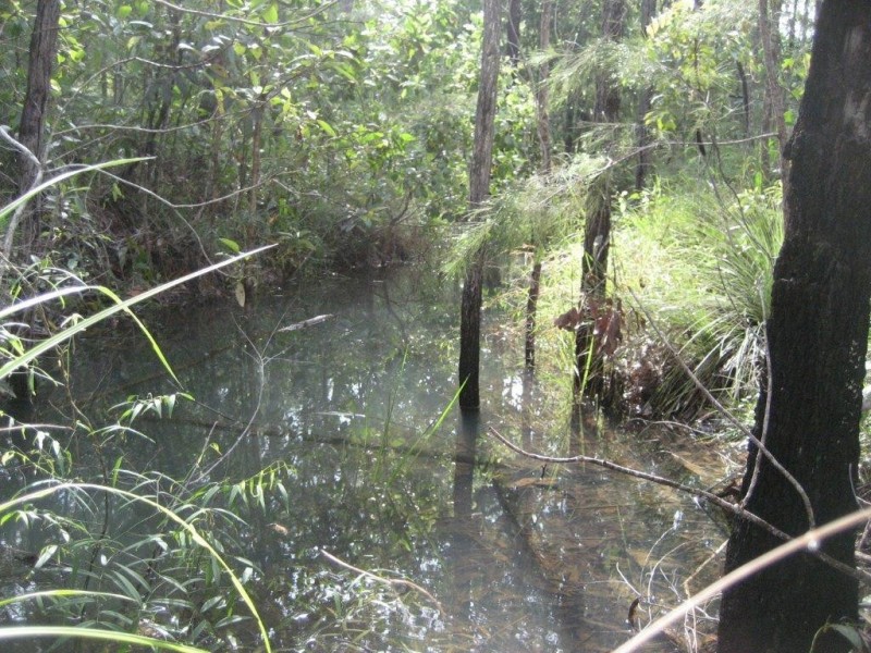 Lot 27 Cycad Crescent, Cardwell QLD 4849