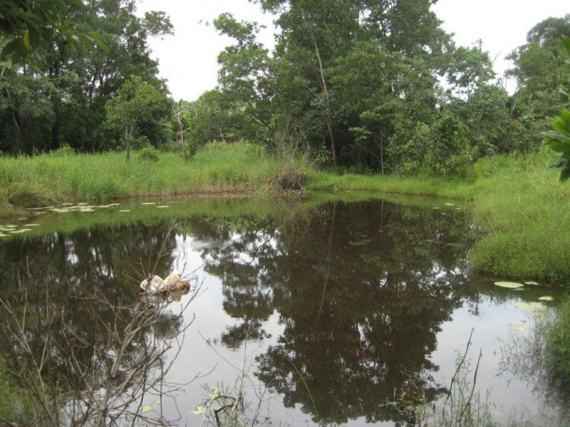 1605 Tully Gorge Road, Tully QLD 4854