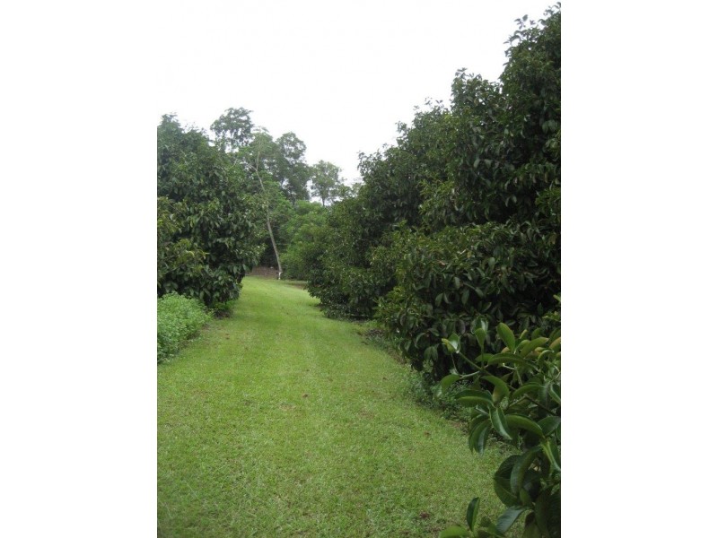 1605 Tully Gorge Road, Tully QLD 4854