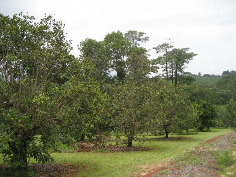 1605 Tully Gorge Road, Tully QLD 4854