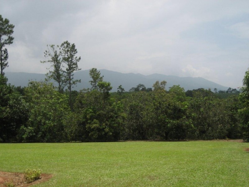 1605 Tully Gorge Road, Tully QLD 4854