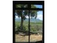 51531 Cardwell Range, Cardwell QLD 4849